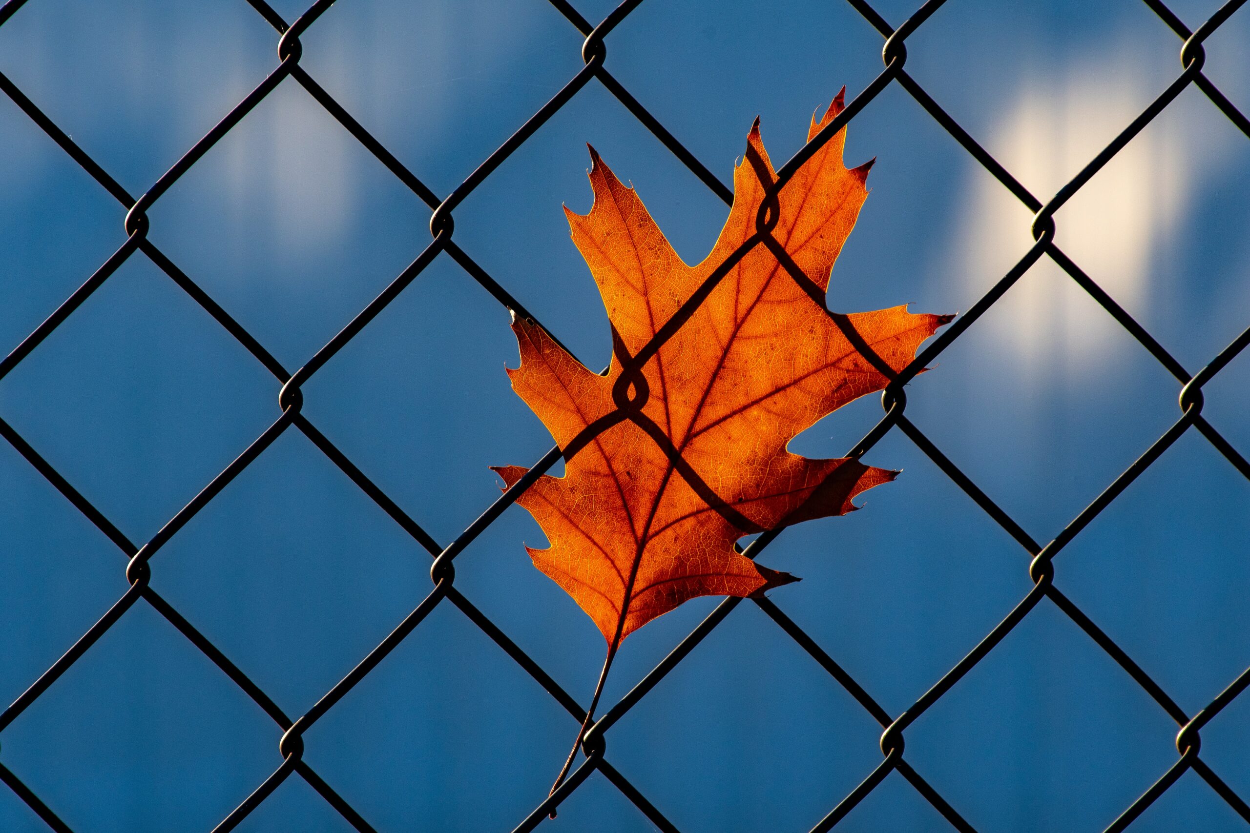 Accompagnement des enfants en visite en prison